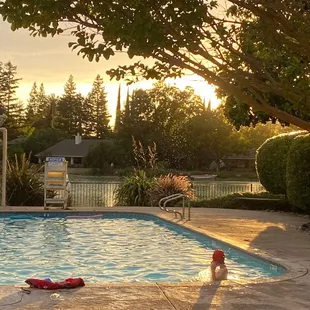 Pool in the evening