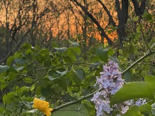 Gather At Red Cedar Gardens