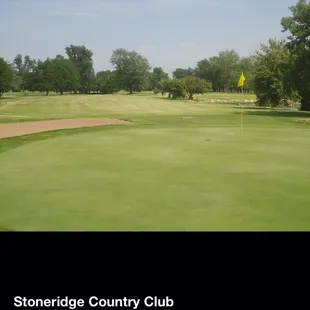 Gorgeous Greens!