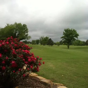 Tee Box 1