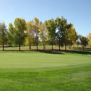Beautifully manicured golf course