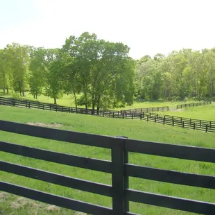 QUARANTINE PASTURE IS ALSO PASTURE 3