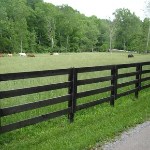 PASTURE 1