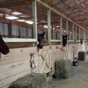 INDOOR ARENA  STALL'S