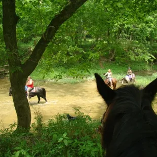 RIDING IN PHILLIP'S CREEK