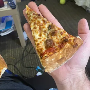 It's so cute, look how precious my tiny "large" slice of pizza.