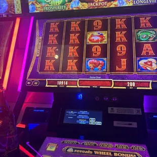 Punt 700 nothing yes take money never a gain