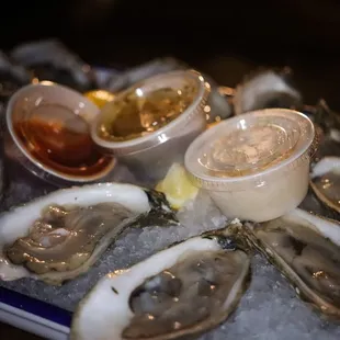 oysters