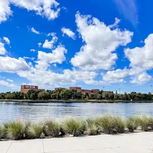 a view of a lake