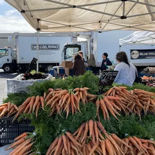 Blue house farm, Pescadero, CA