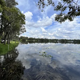 View from the patio dining