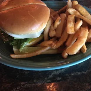 Bison Burger