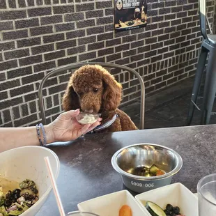 Dessert! Yum, ice cream!