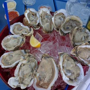 oysters and mussels, mussels, oysters, food, shellfish
