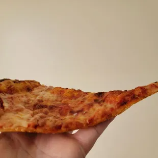 Old, hard pizza that it curled