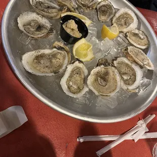 Oyster