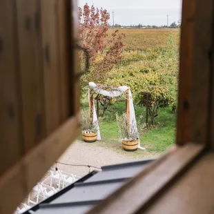 a view of a vineyard through a window