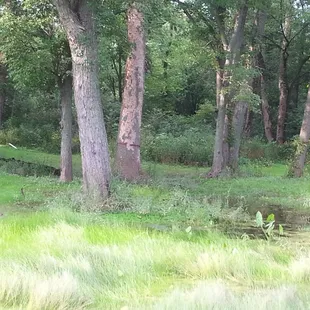Stony Creek Golf Club