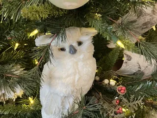 The Bridgewater Club