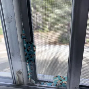 Screen taped together with bandaids.