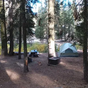 Campsite 12 at lower stony creek campground
