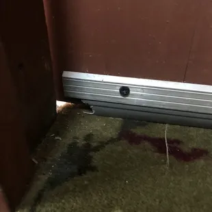 chewed hole in door