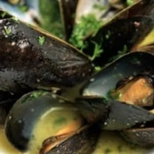 shellfish, oysters, mussels, food, oysters and mussels