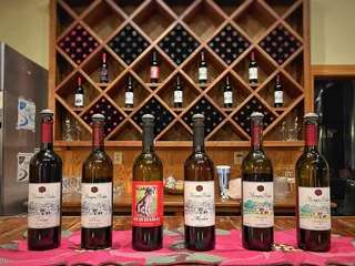 Morgan Ridge Vineyards 