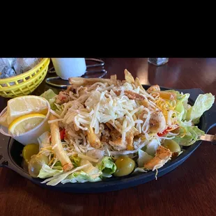 Grilled chicken salad