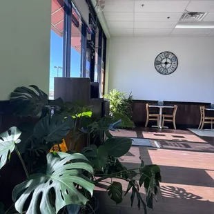 Inside beautiful plant weird clock