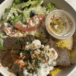 Gyro Plate