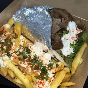 Traditional Gyro Combo/ Greek Fries