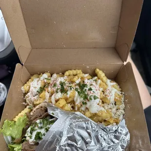 #1 Traditional Gyro Combo with Greek Fries