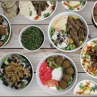 Gyro Plate