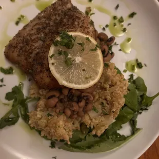 Gulf Coast Black Drum