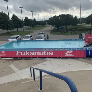 Getting ready for the Eukanuba Diving Dogs competition!