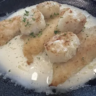 Amazing spots and scallops