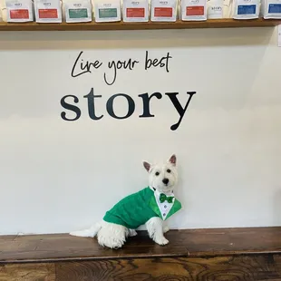 Even our pup liked it!