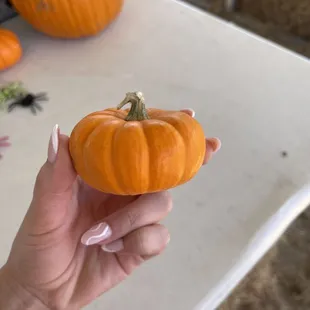 Little pumpkins too!