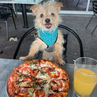 Margarita pizza