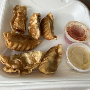 Chicken Teriyaki Dumplings