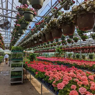 Plants are so luscious