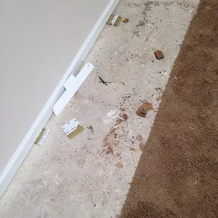 Refused to clean up debris.