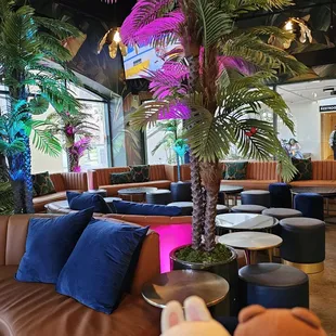 Like Miami atmosphere?