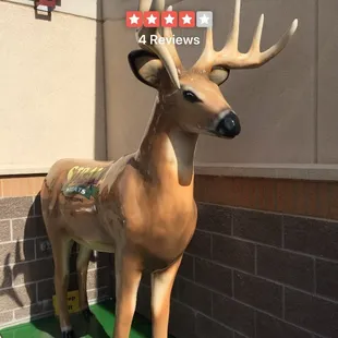 Oh, Deer!