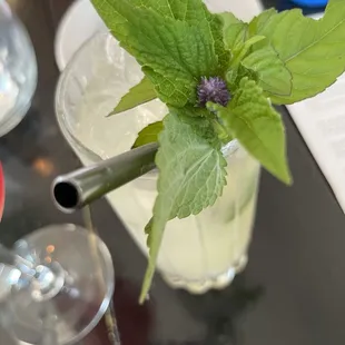 Practical Magic with an adorable mint flower in the garnish