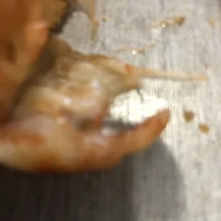 Marlin Ray pizza MD!