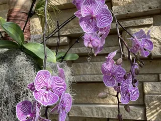 Lauritzen Gardens
