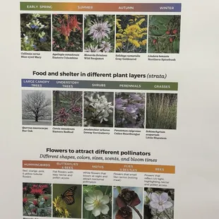 Native plant information display
