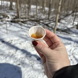Fresh maple syrup!